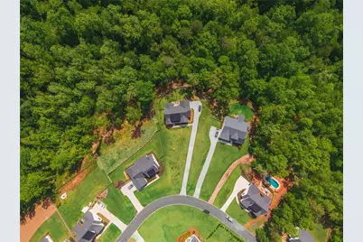 392 London Road, Ball Ground, GA 30107 - Photo 29