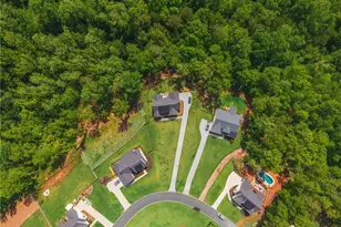 392 London Rd, Ball Ground, GA 30107 - Photo 29