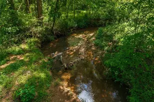 392 London Rd, Ball Ground, GA 30107 - Photo 41