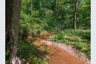 392 London Road, Ball Ground, GA 30107 - Photo 43