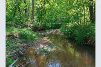 392 London Road, Ball Ground, GA 30107 - Photo 39