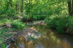 392 London Rd, Ball Ground, GA 30107 - Photo 39
