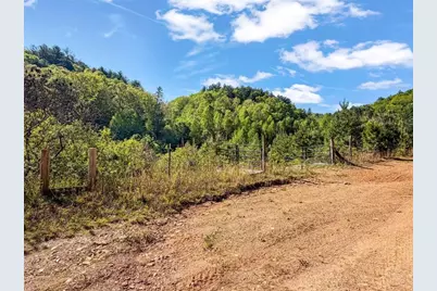 80 Acr Valley Lake Road, Mineral Bluff, GA 30559 - Photo 15