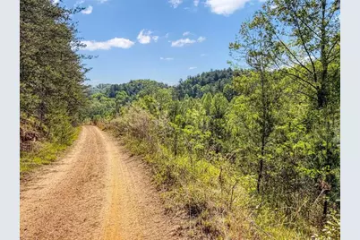 80 Acr Valley Lake Road, Mineral Bluff, GA 30559 - Photo 19