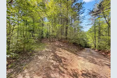 80 Acr Valley Lake Road, Mineral Bluff, GA 30559 - Photo 49