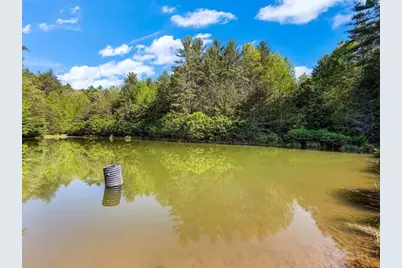 80 Acr Valley Lake Road, Mineral Bluff, GA 30559 - Photo 21