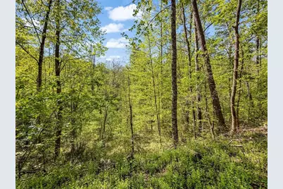 80 Acr Valley Lake Road, Mineral Bluff, GA 30559 - Photo 17
