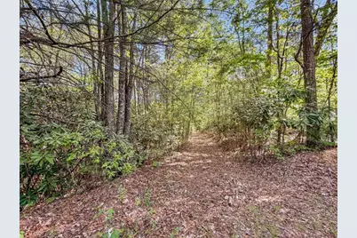 80 Acr Valley Lake Road, Mineral Bluff, GA 30559 - Photo 33