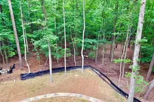137 Bear Dr, Waleska, GA 30183 - Photo 9