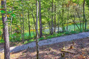 380 Biguns Blvd, Talking Rock, GA 30175 - Photo 5