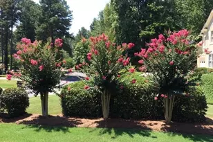 11210 Surrey Park Trail, Johns Creek, GA 30097 - Photo 31