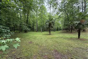 534 Soque Trail, Demorest, GA 30535 - Photo 31