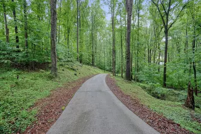 219 Oak Forest Drive, Canton, GA 30115 - Photo 1