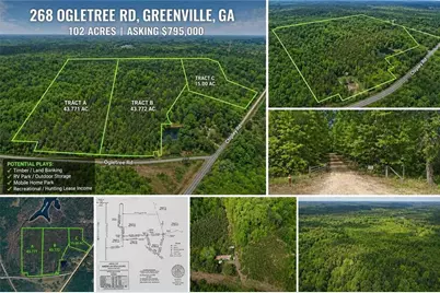 268 Ogletree Road, Greenville, GA 30222 - Photo 3