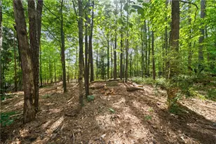 1406 Creston Hill, Peachtree City, GA 30269 - Photo 69