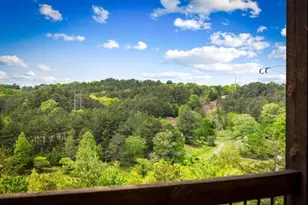 670 River Hill Rd, Mineral Bluff, GA 30559 - Photo 73