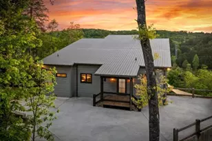 670 River Hill Rd, Mineral Bluff, GA 30559 - Photo 5