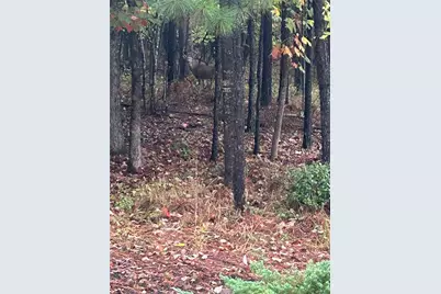 180 Talking Leaves Court, Acworth, GA 30101 - Photo 25