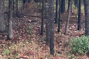 180 Talking Leaves Ct, Acworth, GA 30101 - Photo 25