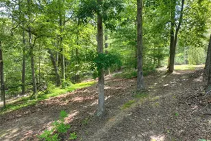 88 Wagon Tracks Ridge, Mineral Bluff, GA 30559 - Photo 77