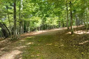 88 Wagon Tracks Ridge, Mineral Bluff, GA 30559 - Photo 63