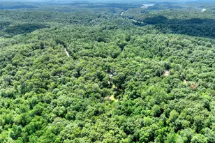 88 Wagon Tracks Ridge, Mineral Bluff, GA 30559 - Photo 67