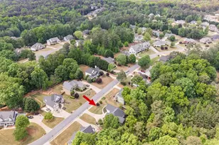1350 Chester Harris Dr N, Dallas, GA 30132 - Photo 55