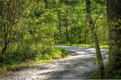 391 Forest Service 117 Road, Blairsville, GA 30512 - Photo 87