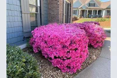 300 Towne Overlook Circle, Canton, GA 30114 - Photo 3