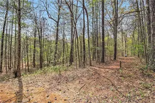 7497 Treehouse Ct, Douglasville, GA 30135 - Photo 55