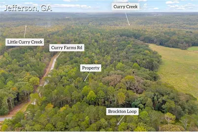 0 Curry Farms Road, Jefferson, GA 30549 - Photo 11