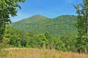 10 5Ac Jack Walker Rd, Dahlonega, GA 30533 - Photo 1