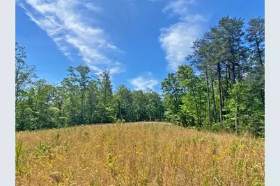 10.5Ac Jack Walker Road, Dahlonega, GA 30533 - Photo 3