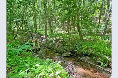 10.5Ac Jack Walker Road, Dahlonega, GA 30533 - Photo 7