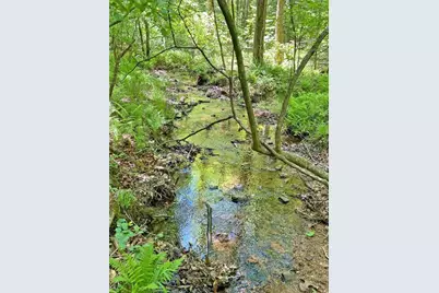 10.5Ac Jack Walker Road, Dahlonega, GA 30533 - Photo 17