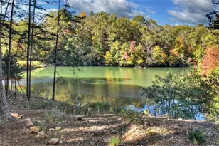 382 Pocaset Dr, Ellijay, GA 30540 - Photo 49