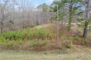 5534 Steadman Rd, Tallapoosa, GA 30176 - Photo 33