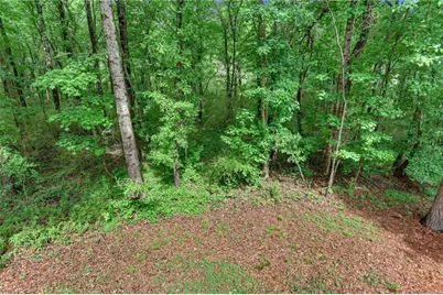 237 Clearwater Drive, Monroe, GA 30655 - Photo 29