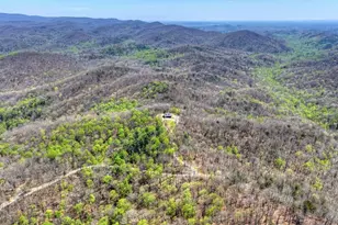 1073 Old Burnt Mountain Rd, Ellijay, GA 30536 - Photo 43