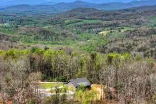 1073 Old Burnt Mountain Rd, Ellijay, GA 30536 - Photo 47