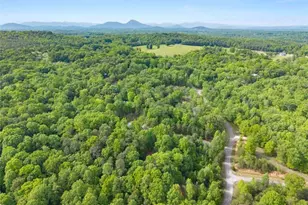 53 Elm Ridge Dr, Cleveland, GA 30528 - Photo 55