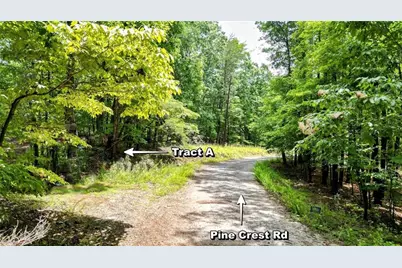 23.83 Pine Crest Road, Jasper, GA 30143 - Photo 3