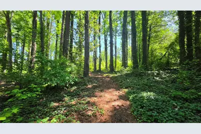 6099 Old Alabama Road SW, Austell, GA 30168 - Photo 3