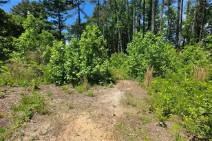 6099 Old Alabama Rd SW, Austell, GA 30168 - Photo 1