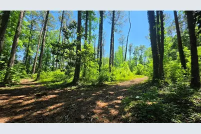 6099 Old Alabama Road SW, Austell, GA 30168 - Photo 5