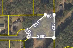 170 Pleasant Point Way, Fayetteville, GA 30214 - Photo 35