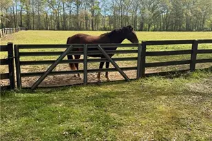 727 Old Collins Rd, Hoschton, GA 30548 - Photo 45