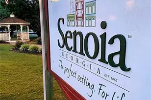 73 Bourbon St, Senoia, GA 30276 - Photo 41