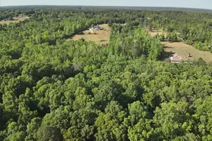 2033 Peeksville Rd, Locust Grove, GA 30248 - Photo 71