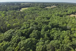 2033 Peeksville Rd, Locust Grove, GA 30248 - Photo 75